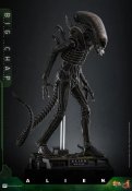 Alien 1979 Big Chap Xenomorph 1/6 Scale Figure by Hot Toys
