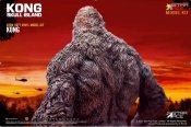 Kong Skull Island Vinyl Model Kit King Kong