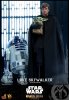 Star Wars Luke Skywalker Mandalorian Series 1/6 Scale Figure by Hot Toys-FREE SHIPPING