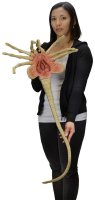 Aliens Life-Size Facehugger Foam Prop Replica