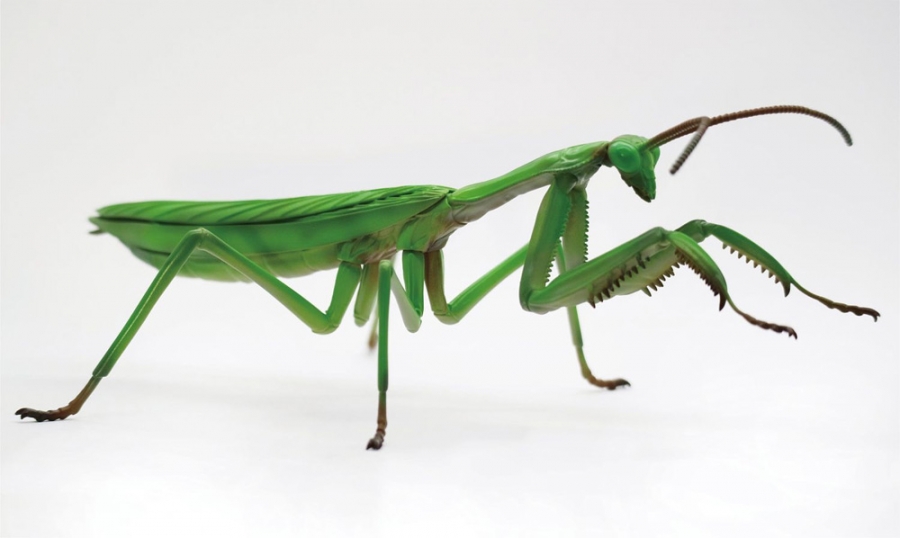 Giant Praying Mantis Japanese Model Kit by Fujima - Click Image to Close