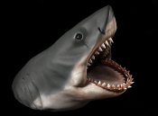 Bruce The Shark 1/6 Scale 12" Bust