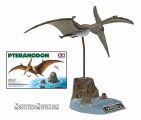 Pteranodon Dinosaur Bird Plastic Model Kit 1/35 Scale Plastic Model Kit by Tamiya Japan