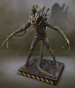 Alien 1/1 Scale Alien Warrior LIMITED EDITION of 150