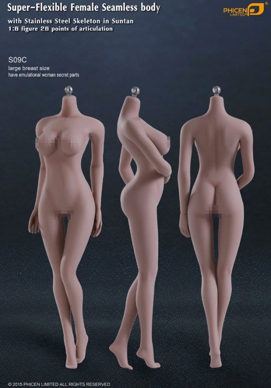 Female Body Super-Flexible Female Seamless 1/6 Scale Body with Stainless  Steel Skeleton in Suntan/Large Breast by Phicen [PL-LB2015S09C](Anatomically  Correct Female Parts) Female Seamless Super-Flexible 1/6 Scale Body Large  Breast with Anatomically Cor