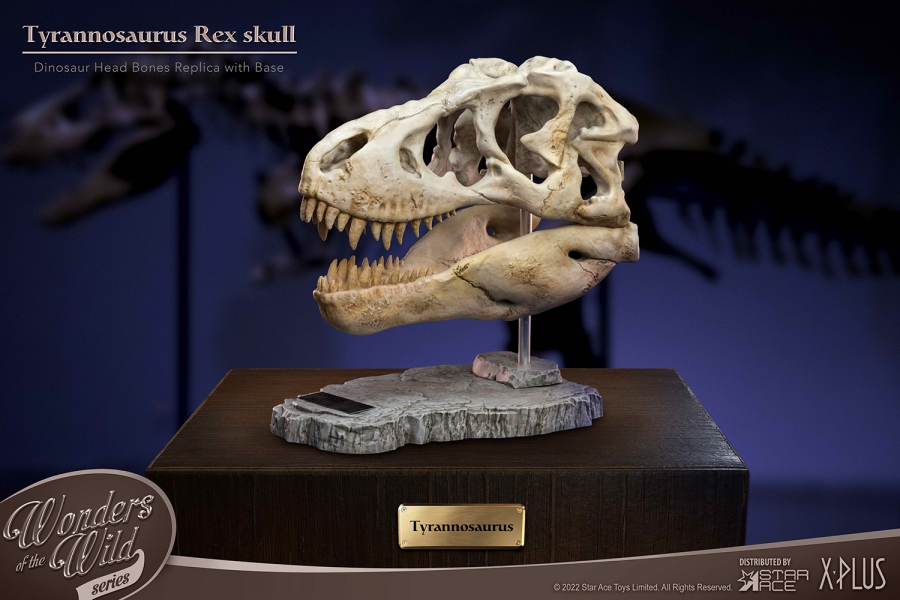 T-Rex Head Skull Scaled Replica Statue By Star Ace - Click Image to Close