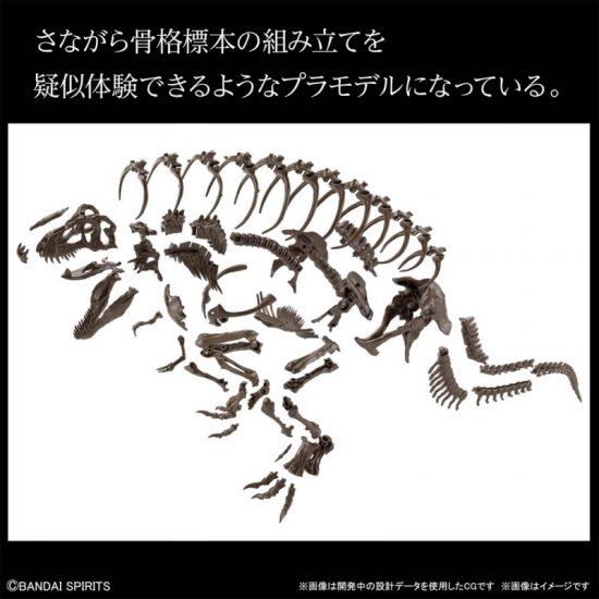 BANDAI 1/32 Tyrannosaurus 未組立 廃盤品 1/32 - Bandai Spirits Imaginary Skeleton - Tyrannosaurus T