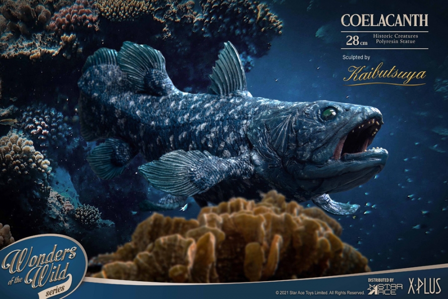 Coelacanth Wonders of the Wild Series 12" Polyresin Statue - Click Image to Close