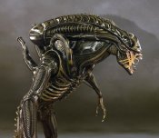 Alien 1/1 Scale Alien Warrior LIMITED EDITION of 150