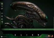 Alien 1979 Big Chap Xenomorph 1/6 Scale Figure by Hot Toys