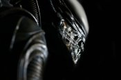 Alien 1979 Lifesize Alien Replica Statue H.R. Giger