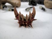 Relic 1997 Mbwun Kathoga Museum Monster Painted Model Kit