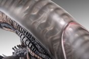 Alien Romulus Scorched Xenomorph Lifesize Bust