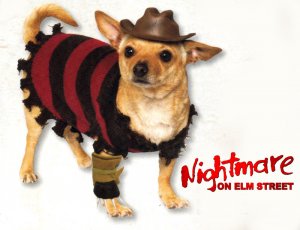 Nightmare on Elm Street Freddy Krueger Dog Costume