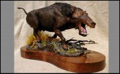 Dinohyus (Daeodon ) Prehistoric Mammal Model Kit SPECIAL ORDER