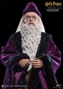 Harry Potter and the Sorcerer's Stone Albus Dumbledore 1/6 Scale Figure