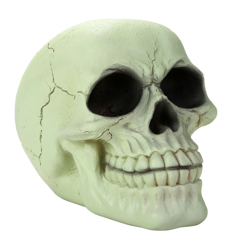Glow In The Dark 1/2 Scale Skull - Click Image to Close