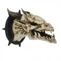 Dragon Skull Hand Painted Wall Plaque