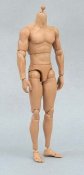 Muscular 1/6 Scale Pose-able Action Figure Body