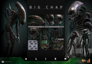 Alien 1979 Big Chap Xenomorph 1/6 Scale Figure by Hot Toys