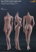 Female Body Super-Flexible Female Seamless 1/6 Scale Body with Stainless Steel Skeleton in Suntan/Medium Breast by Phicen [PL-MB2015-S02A]