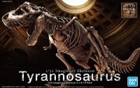 T-Rex Tyrannosaurus Dinosaur Skeleton 1/32 Scale Model Kit by Bandai Japan