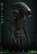Alien 1979 Big Chap Xenomorph 1/6 Scale Figure by Hot Toys