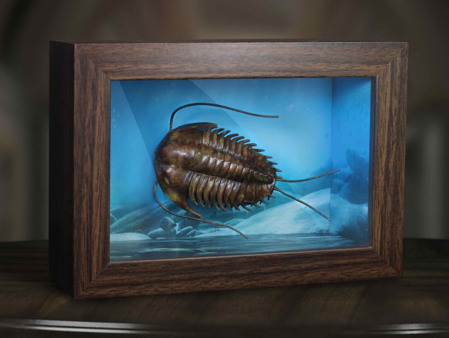 Trilobites Wonders of the Wild Series Miniature Frame w/ 1:1 Scale Replica (Normal Ver.) - Click Image to Close