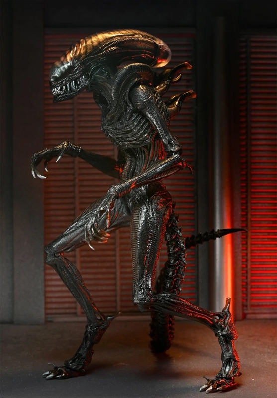 Alien Romulus 2024 Ultimate Scorched Xenomorph 7-Inch Scale Action Figure - Click Image to Close