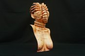 Alien Facehugger The Colonist Renewal 1/1 Scale Art Piece Statue