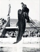 Marineland Carnival with The Munsters TV Cast DVD