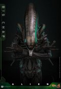Alien 1979 Big Chap Xenomorph 1/6 Scale Figure by Hot Toys