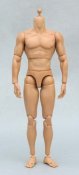 Muscular 1/6 Scale Pose-able Action Figure Body