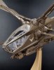 DUNE Atreides Ornithopter Interior, Exterior & Masks for 1/72 Model Kit FRUIT PACK