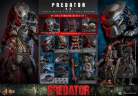 Predator 2.0 Deluxe Version 1/6 Scale Figure by Hot Toys