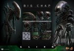 Alien 1979 Big Chap Xenomorph 1/6 Scale Figure by Hot Toys