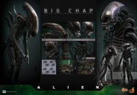 Alien 1979 Big Chap Xenomorph 1/6 Scale Figure by Hot Toys