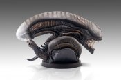 Alien Romulus Scorched Xenomorph Lifesize Bust