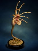 Alien Facehugger Life-Size Replica LIMITED EDITION OF 500