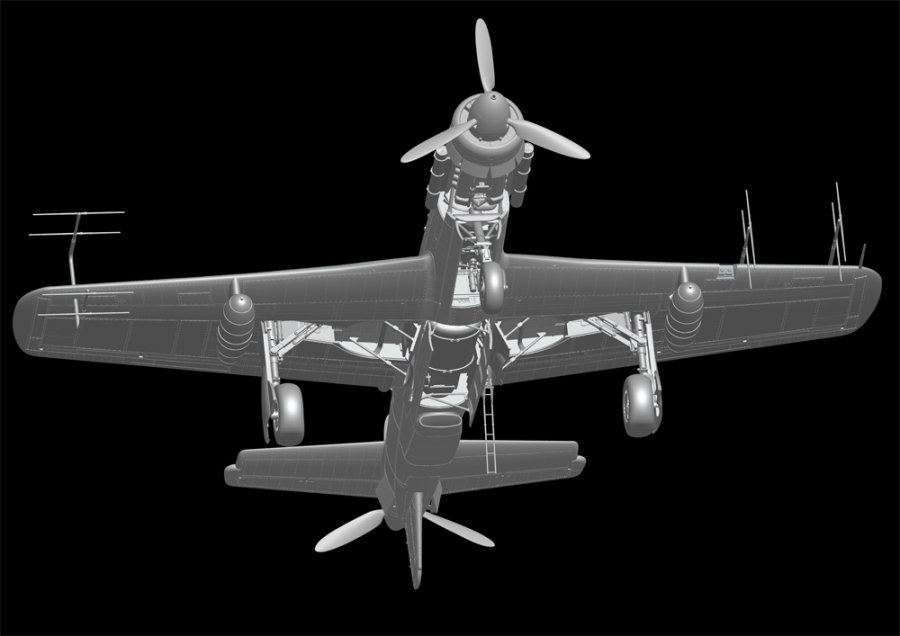 Dornier Do 335 B-6 Night Fighter Aircraft 1/32 Scale Model Kit by HK - Click Image to Close