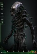 Alien 1979 Big Chap Xenomorph 1/6 Scale Figure by Hot Toys
