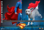 Superman & Krypto 2025 1/6 Scale Figure Set by Hot Toys