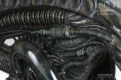 Aliens Life Size Alien Warrior Bust 1/1 Scale by Sideshow Stan Winston