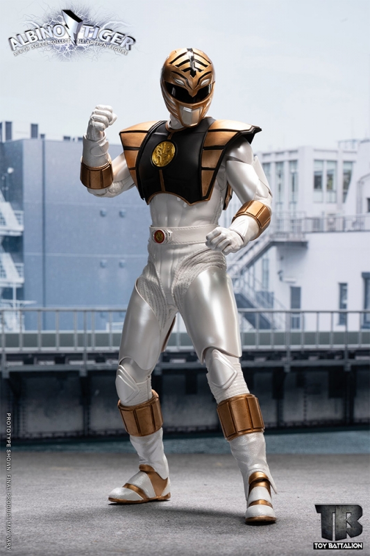 Albino Tiger 1/6 Scale Figure White Ranger by Toys Battalion - Click Image to Close