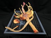 Alien Damaged Facehugger Wall Hanger 1/1 Scale Replica Art Piece