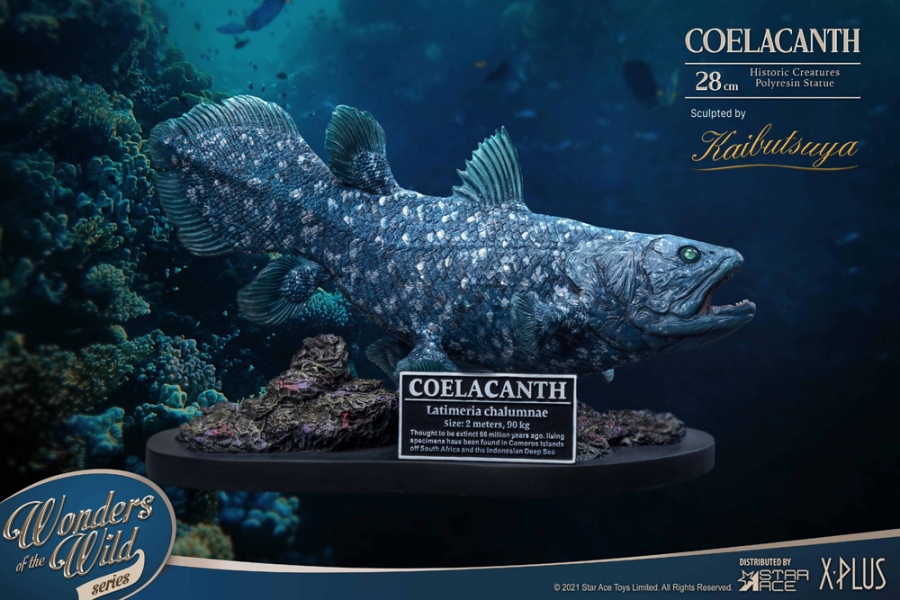 Coelacanth Wonders of the Wild Series 12" Polyresin Statue - Click Image to Close