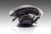 Alien Romulus Scorched Xenomorph Lifesize Bust