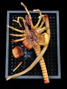 Alien Damaged Facehugger Wall Hanger 1/1 Scale Replica Art Piece