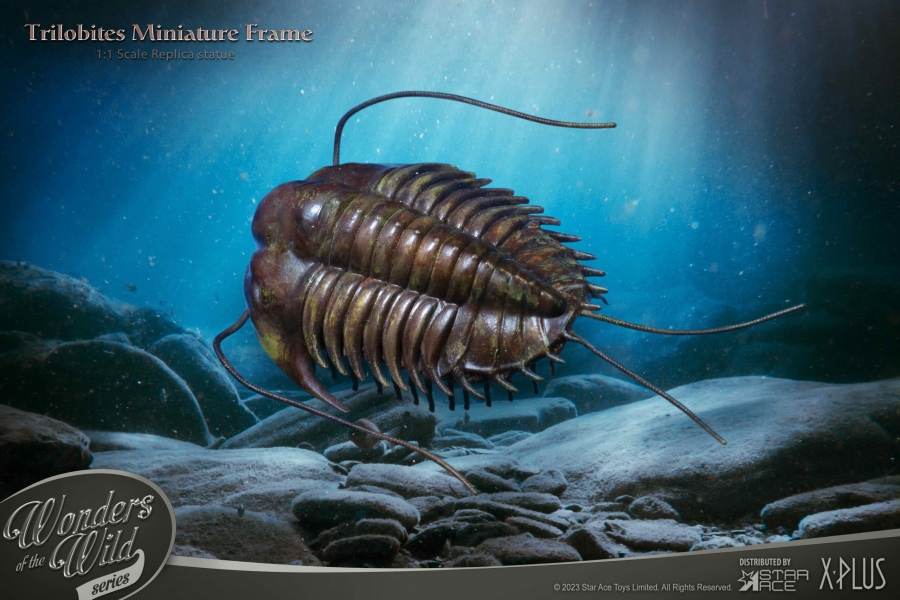 Trilobites Wonders of the Wild Series Miniature Frame w/ 1:1 Scale Replica (Normal Ver.) - Click Image to Close