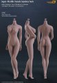 Female Body Super-Flexible Female Seamless 1/6 Scale Body with Stainless Steel Skeleton in Suntan/Large Breast by Phicen [PL-LB2015S09C](Anatomically Correct Female Parts)